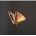 бра The Fluttering Butterfly B (прозрачный) арт.18925