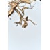 люстра BLBZ20 Copper (165 x 55 x 60) арт.20249