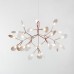 люстра Heracleum D50 (золотой) арт.14729