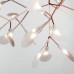 люстра Heracleum D50 (золотой) арт.14729