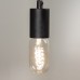 ретро–лампа Edison Bulb T45 (60Вт) арт.30385