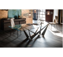 Стол дизайнерский стеклянный GLASS 200х100 см. арт.53284